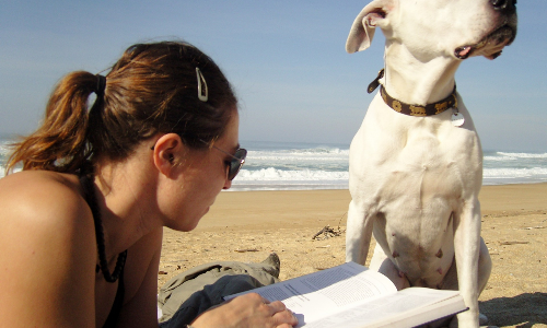 Medical News Today: Five ways reading can improve health and well-being